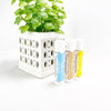 Three pack of lip balms, Fo shea, coco, Per yer lip, See Trust Honey, lip balms standing